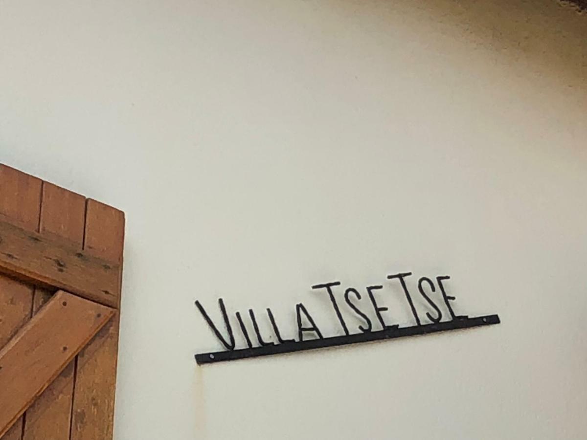 Villa Tsetse مونبيلييه المظهر الخارجي الصورة